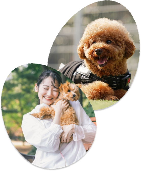 ペットの卵形イメージ（合成画像）