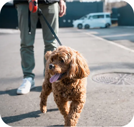 ダブルルーム【愛犬可】 メイン